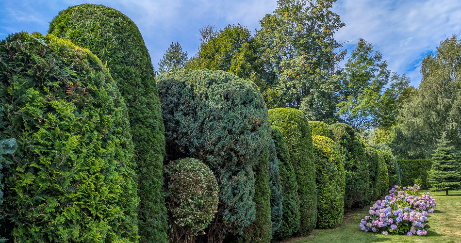 pielęgnacja, zieleni, przycinanie roślin, formowanie krzewów