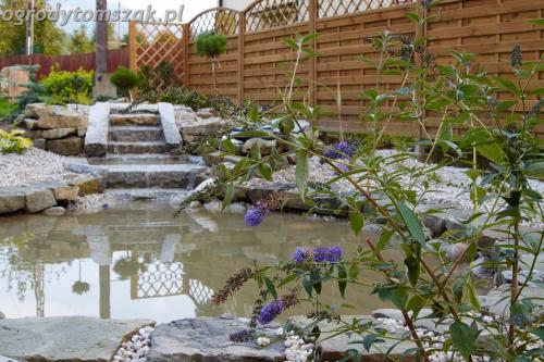 ogrod Ustron oczko wodne kaskada woda w ogrodzie ogrod wodny IMG 0902
