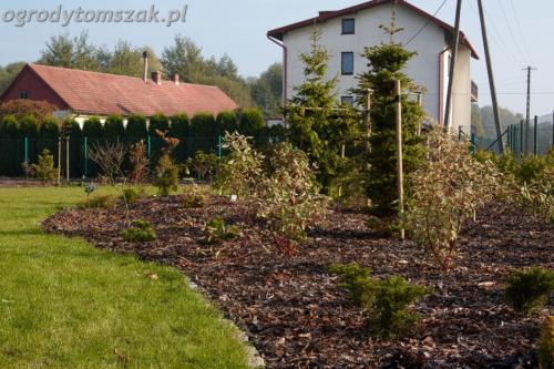 ogrod mazancowice bielsko biala zdjecie zdjecia projektowanie system nawadniajacyIMG 1205