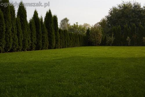 ogrod trawa z rolki cieta czechowice dziedzice system nawodnienia 01