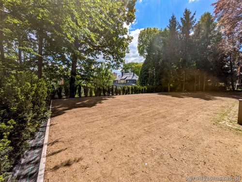 żywopłot cis, taxus, obrzeże granitowe, krawężnik granitowy, trawnik z siewu, odnowienie trawnika