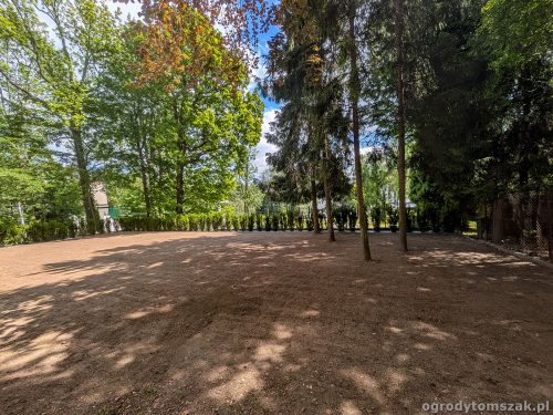 żywopłot cis, taxus, obrzeże granitowe, krawężnik granitowy, trawnik z siewu, odnowienie trawnika