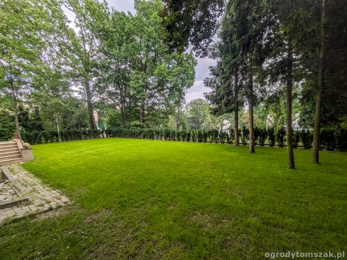 żywopłot cis, taxus, obrzeże granitowe, krawężnik granitowy, trawnik z siewu, odnowienie trawnika