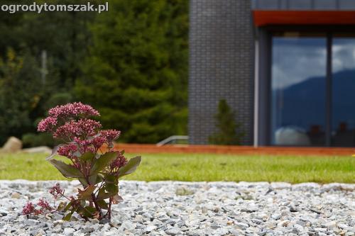 wilkowice mikuszowice lodygowice bystra ogrod murki piaskowiec trawnik schody piwniczka formowanie terenu skarpy IMG 8101